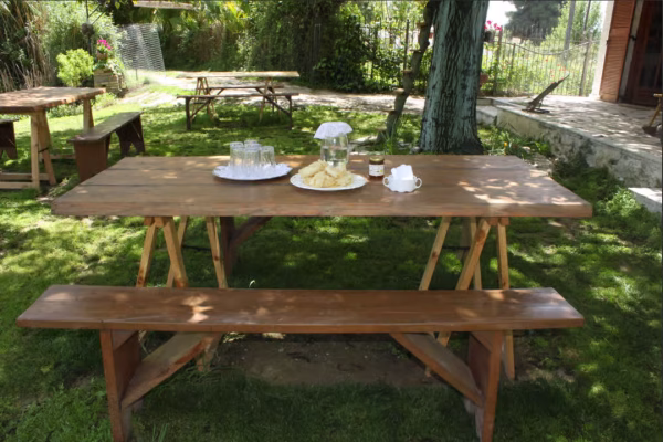 Katakolon Olympia Honey Farm Winery shore excursion 2